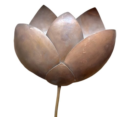 Anantaya Tasarımı Lotus Çiçeği Duvar Dekoru Orta