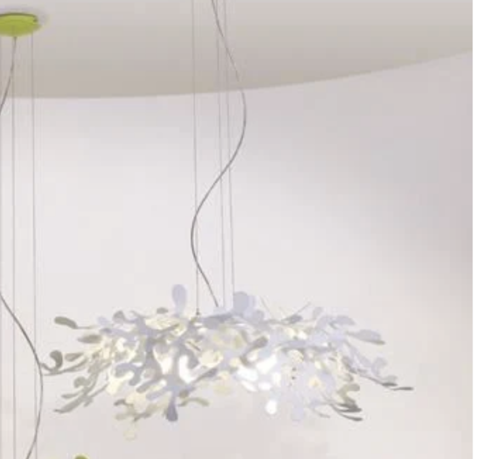 Lumen Center Leaves S Sarkıt