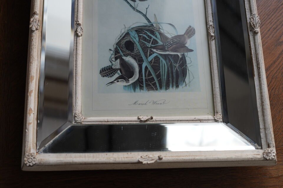 1840 Birds of America Baskı ve Two's Company Aynalı Çerçeve