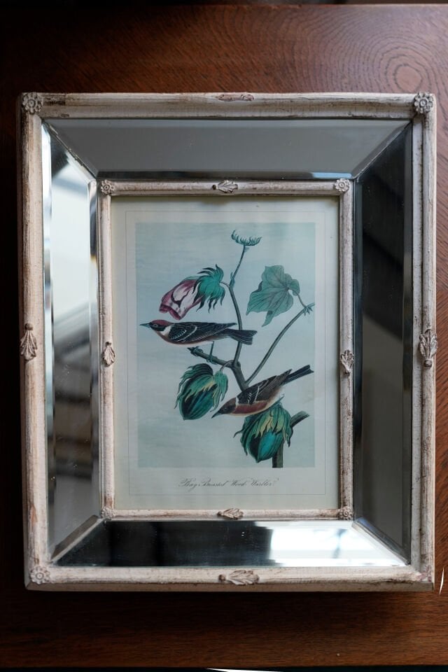 1840 Birds of America Baskı ve Two's Company Aynalı Çerçeve