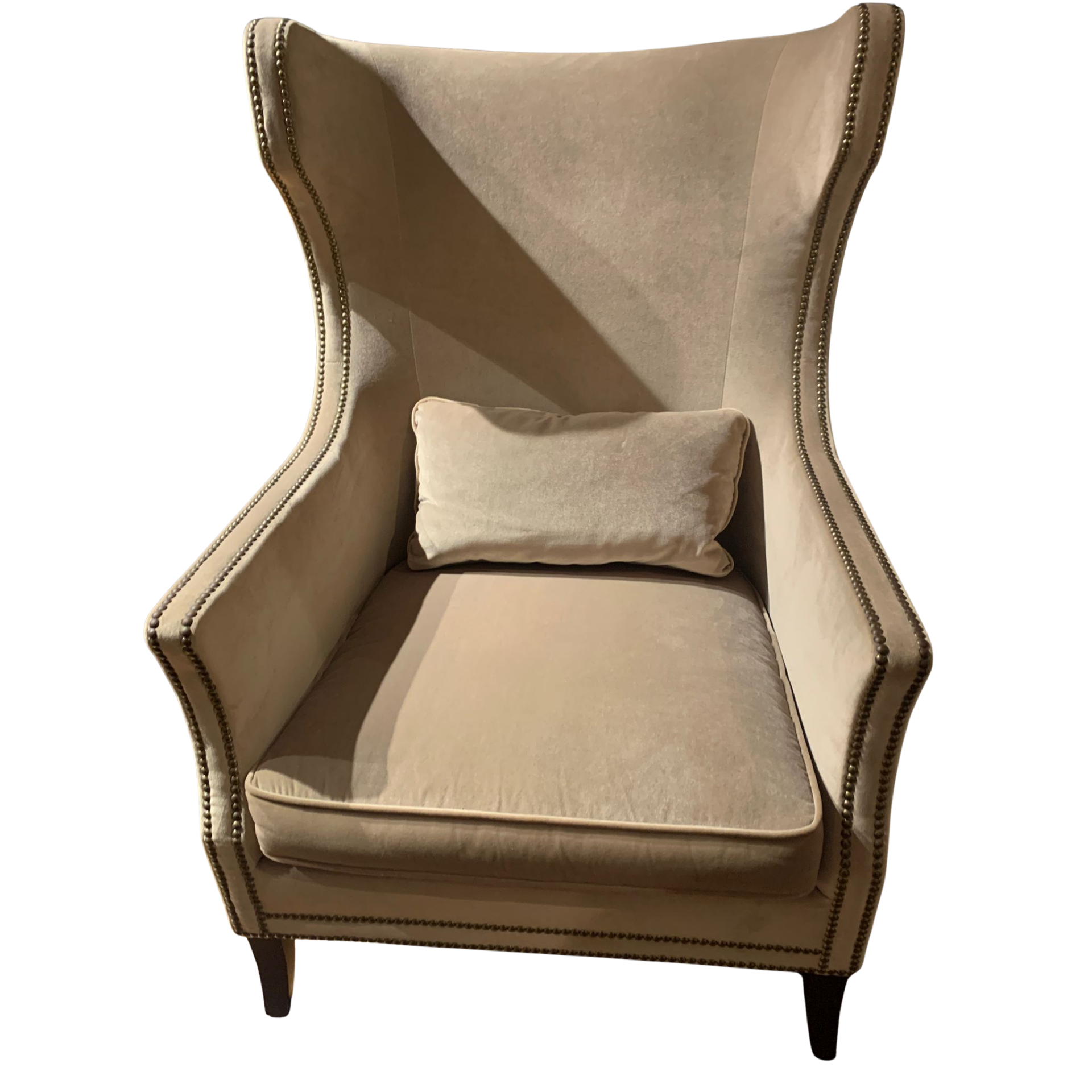 Yüksek Sırtlı Berjer